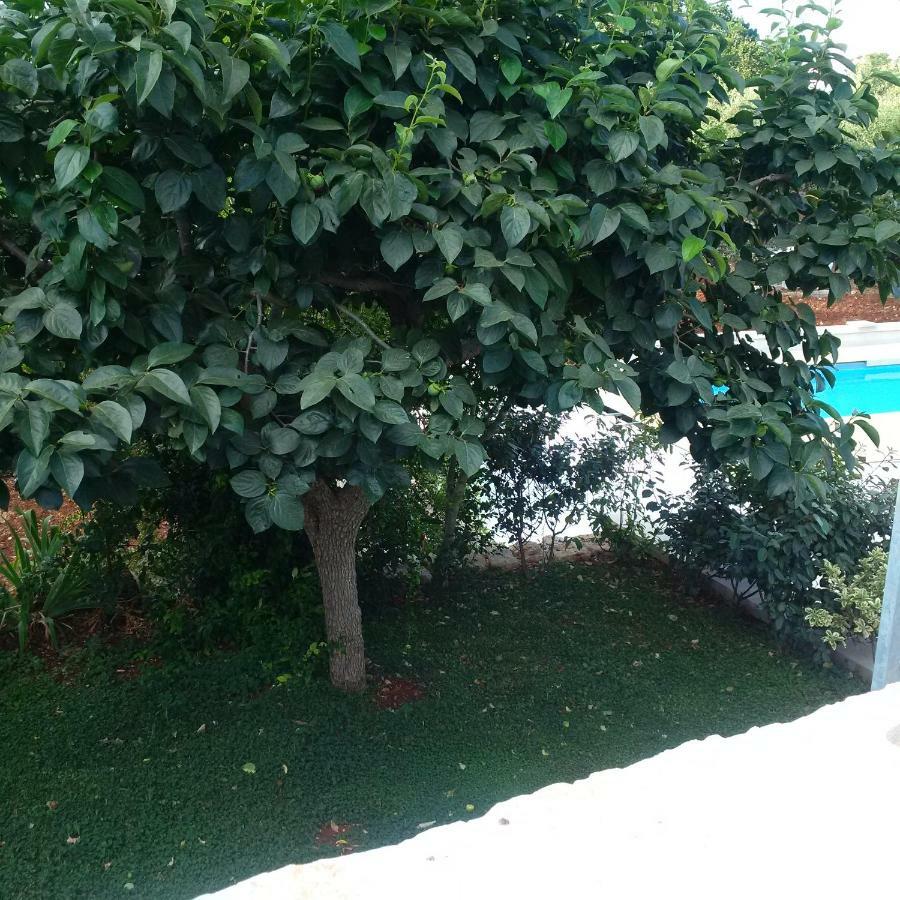 Pignare Apartment Locorotondo Bagian luar foto